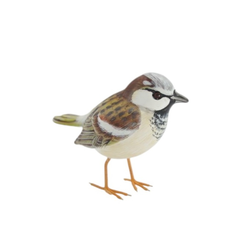 Huismus Yvon 16 cm