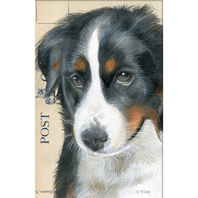 Dubbele kaart met env. Hond Berner Sennen 11,5x17,5cm