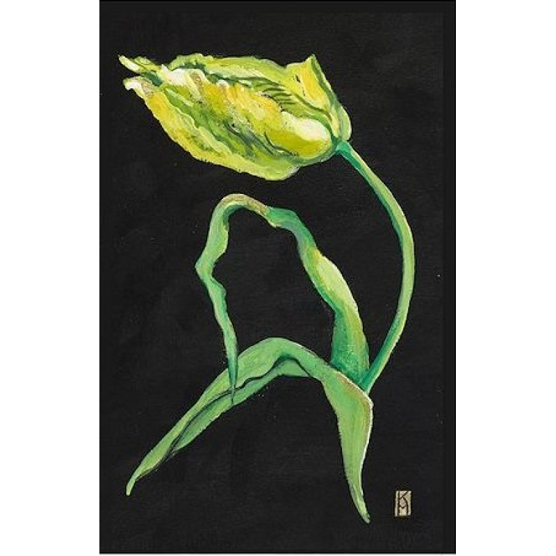 Dubbele kaart met env. Franse Tulp 11,5x17,5cm