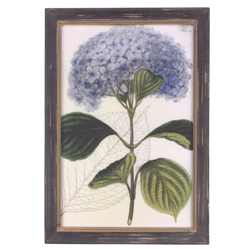 Lijstje hout Hortensia blauw, 33x23cm