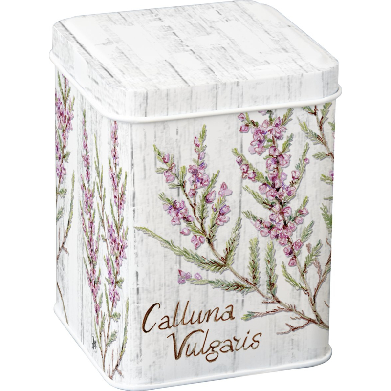 Blikje Calluna Vulgaris 7,5x7,5x10cm