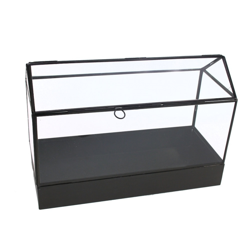 Vitrinedoos glas/metaal zwart 36x15x25cm
