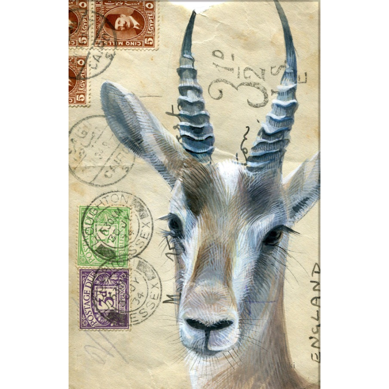 Dubbele kaart met env. Antilope 11,5x17,5cm