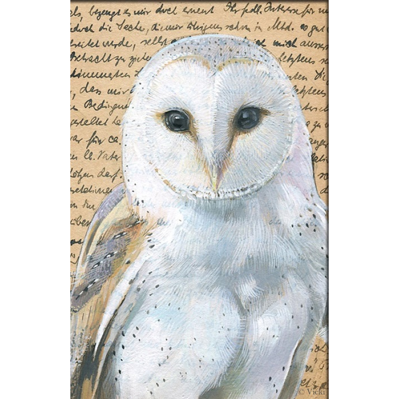 Dubbele kaart met env. Uil wit 11,5x17,5cm