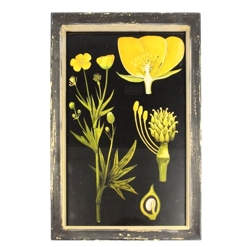 Lijstje hout Boterbloem, 33x23cm 