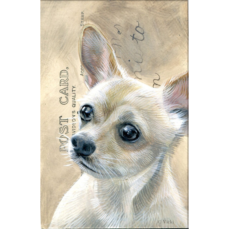 Dubbele kaart met env. Hond Chihuahua 11,5x17,5cm